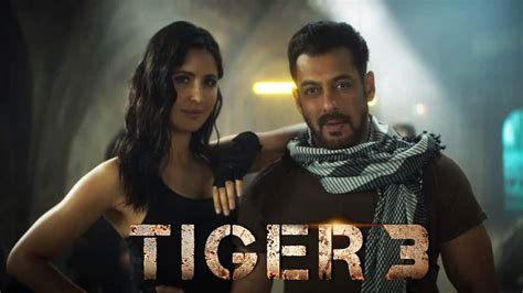 tiger 3 box office collection hungama